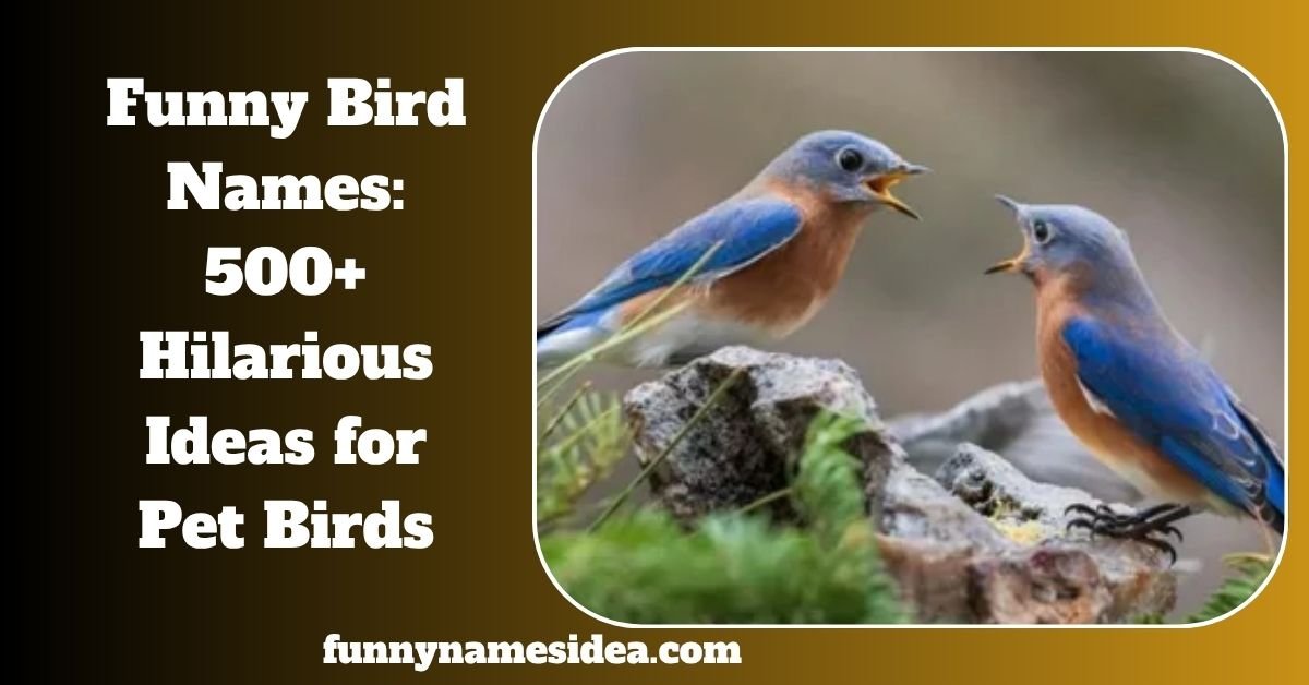 Funny Bird Names