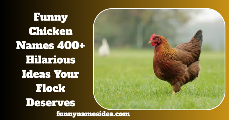 Funny Chicken Names