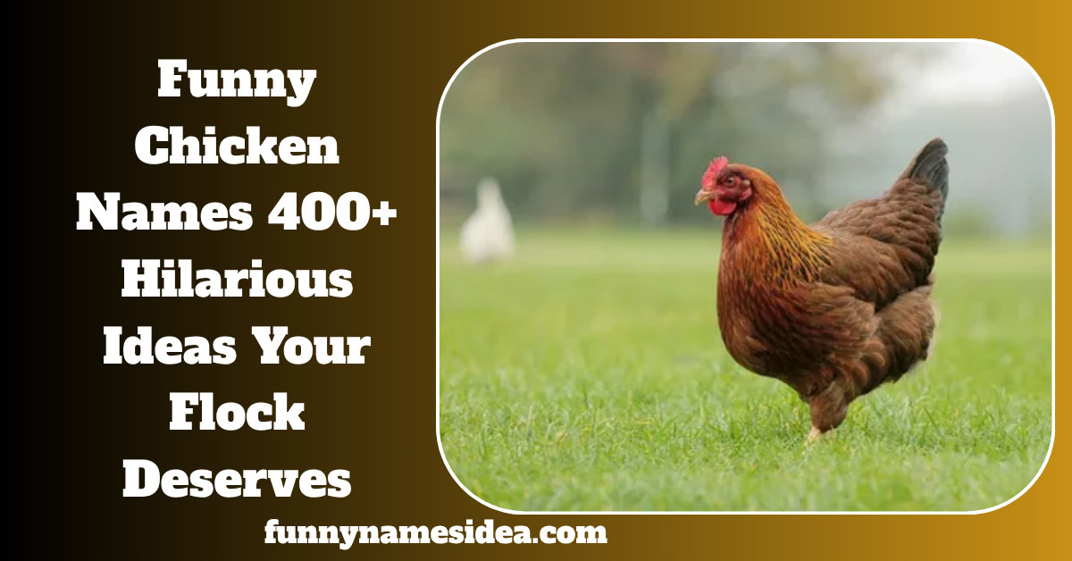 Funny Chicken Names