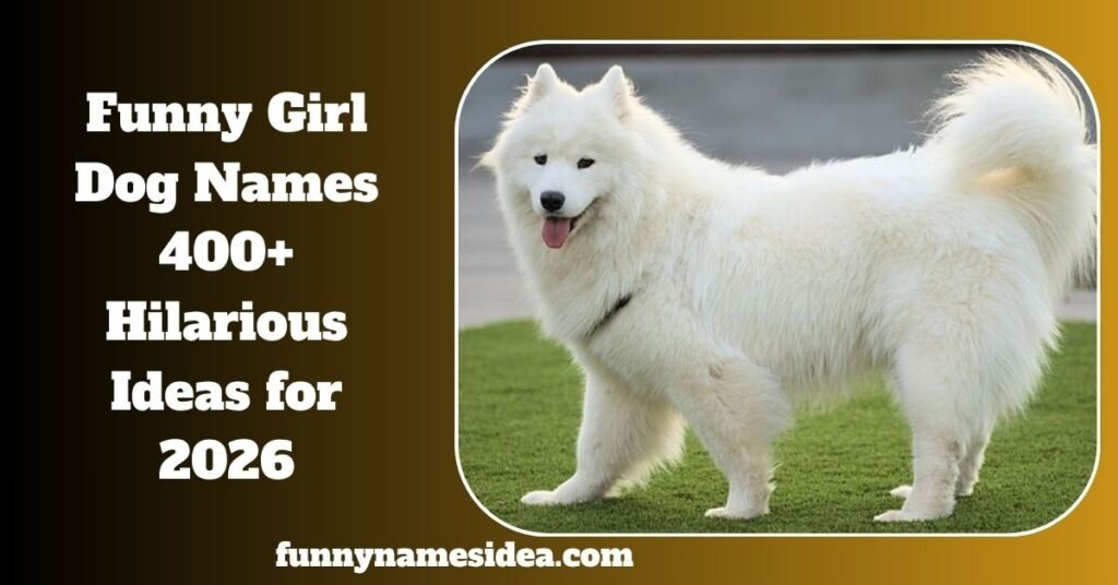 Funny Girl Dog Names