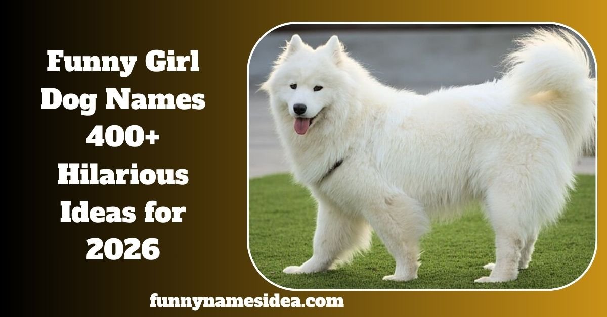 Funny Girl Dog Names