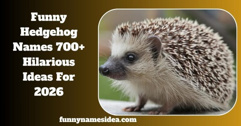 Funny Hedgehog Names