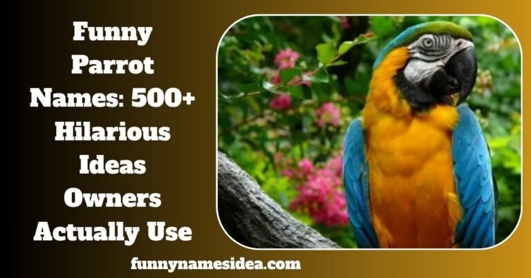Funny Parrot Names