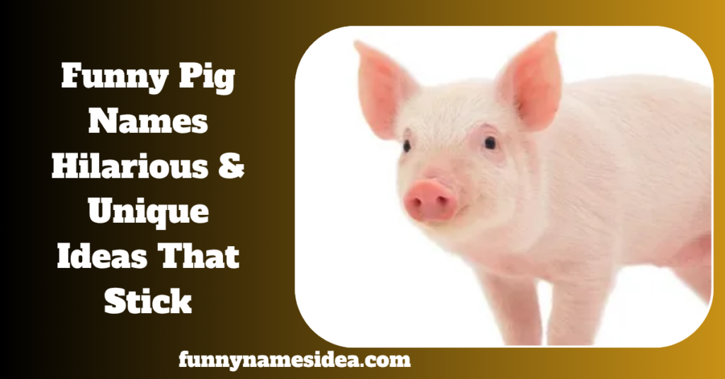 Funny Pig Names