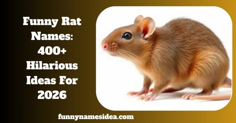 Funny Rat Names