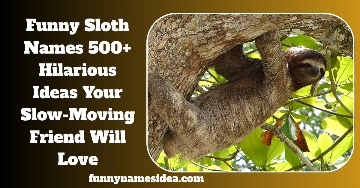 Funny Sloth Names