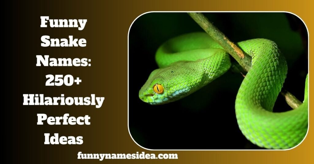 Funny Snake Names