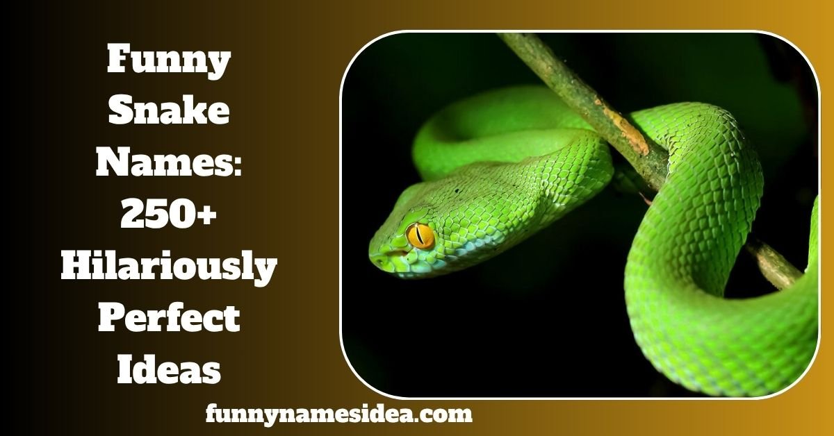 Funny Snake Names