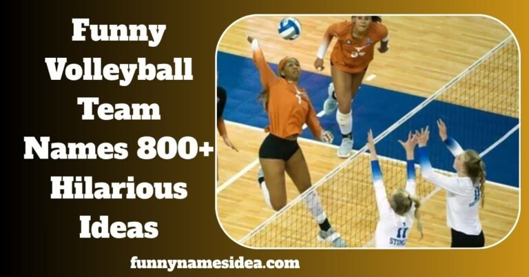 Funny Volleyball Team Names