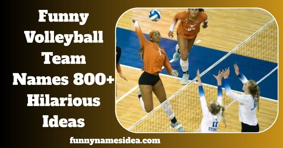 Funny Volleyball Team Names