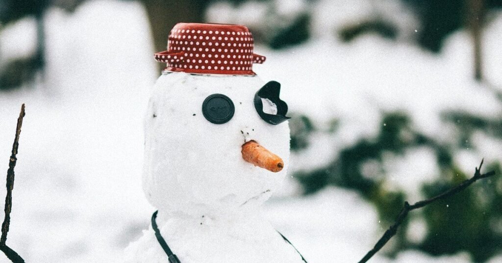 Where Funny Snowman Names Are Commonly Used